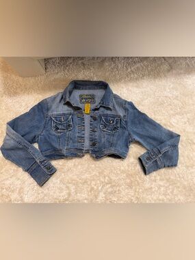 Cropped Light Blue Denim Jacket